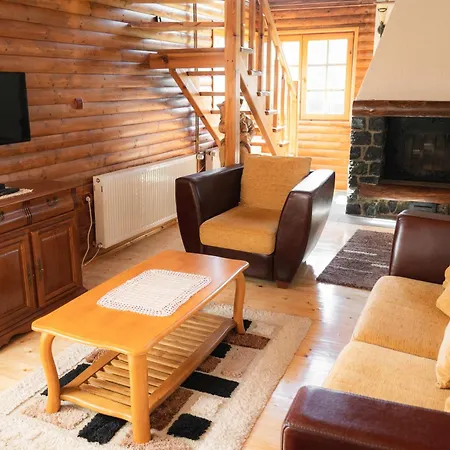 Pine Valley House Zlatibor Exteriör bild